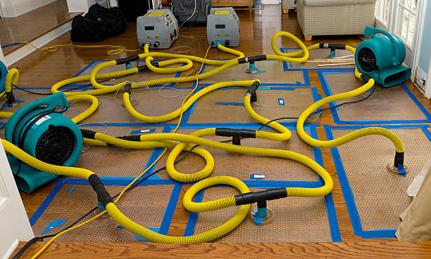 Professional Crawl Space Water Removal technician working in Leesville, OH