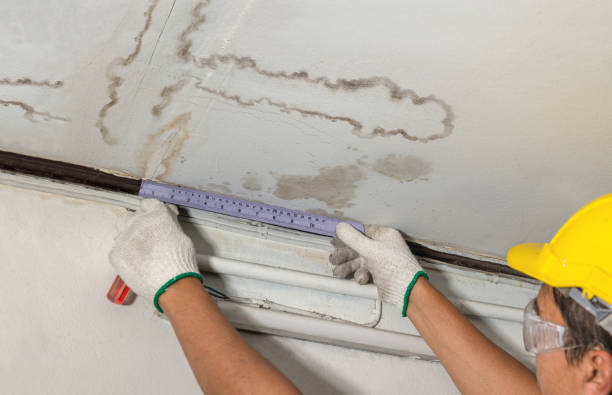 Affordable Water Damage Repair solutions in Leesville, OH